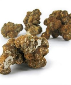 Magic Truffles Utopia
