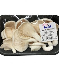 Oyster Mushroom